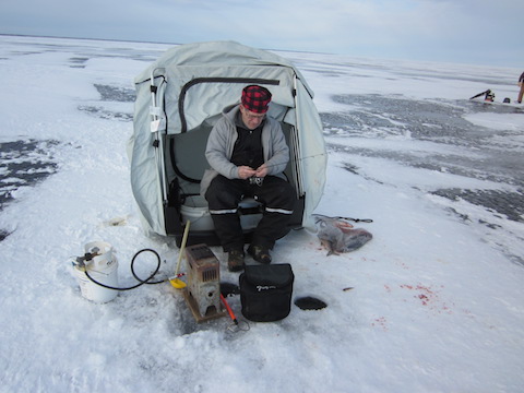 Tom in tip over tent